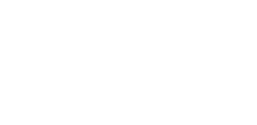 iem